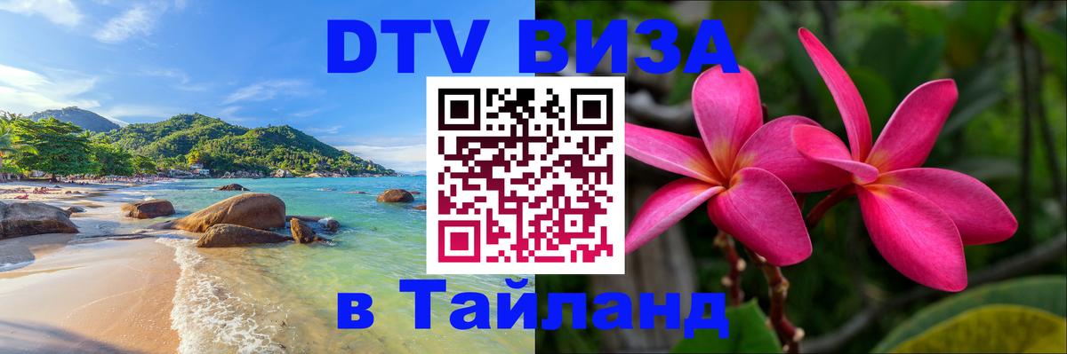 Оформление DTV визы под ключ: стоимость и тарифы, только загранпаспорт - 18.11.2025 
